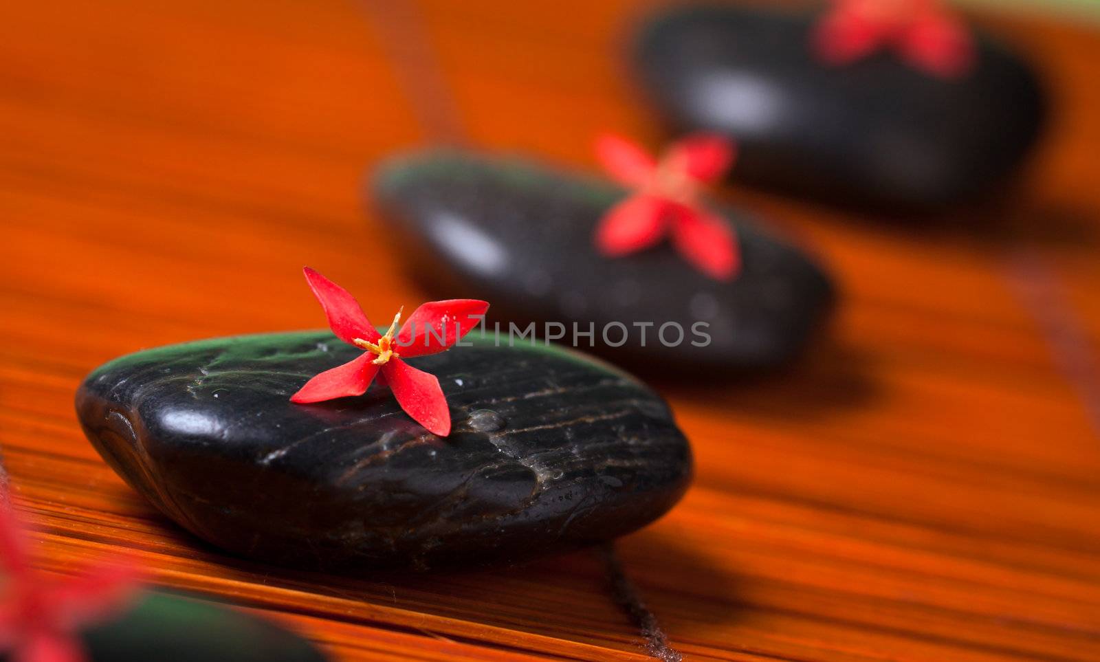 Health spa & massage still life: Black hot rocks with red flowers