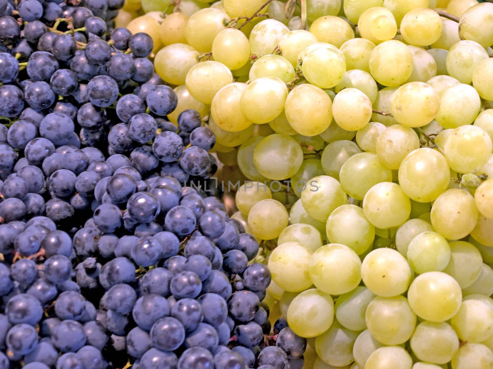 white and blue grapevine