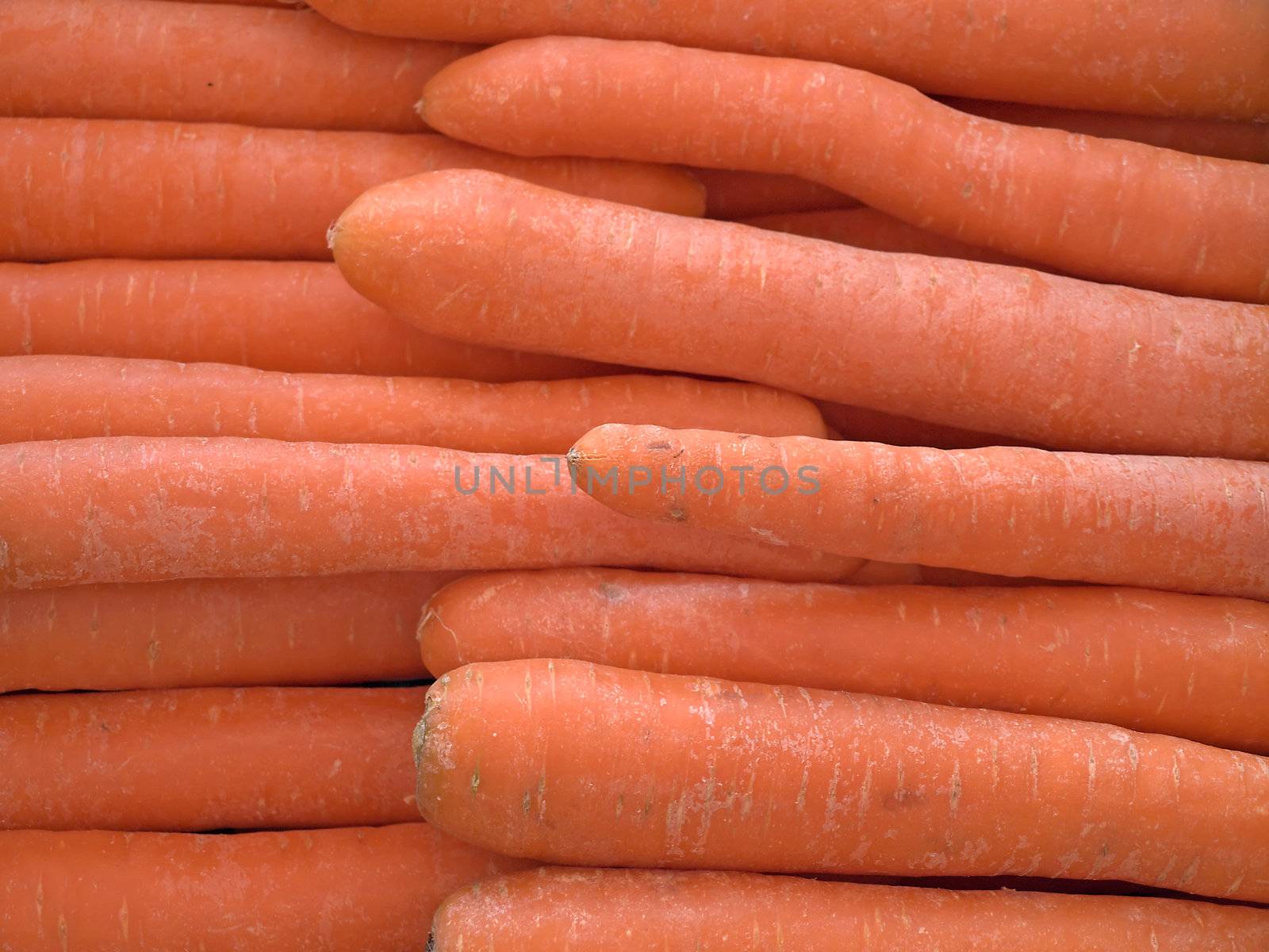 carrot by Jochen