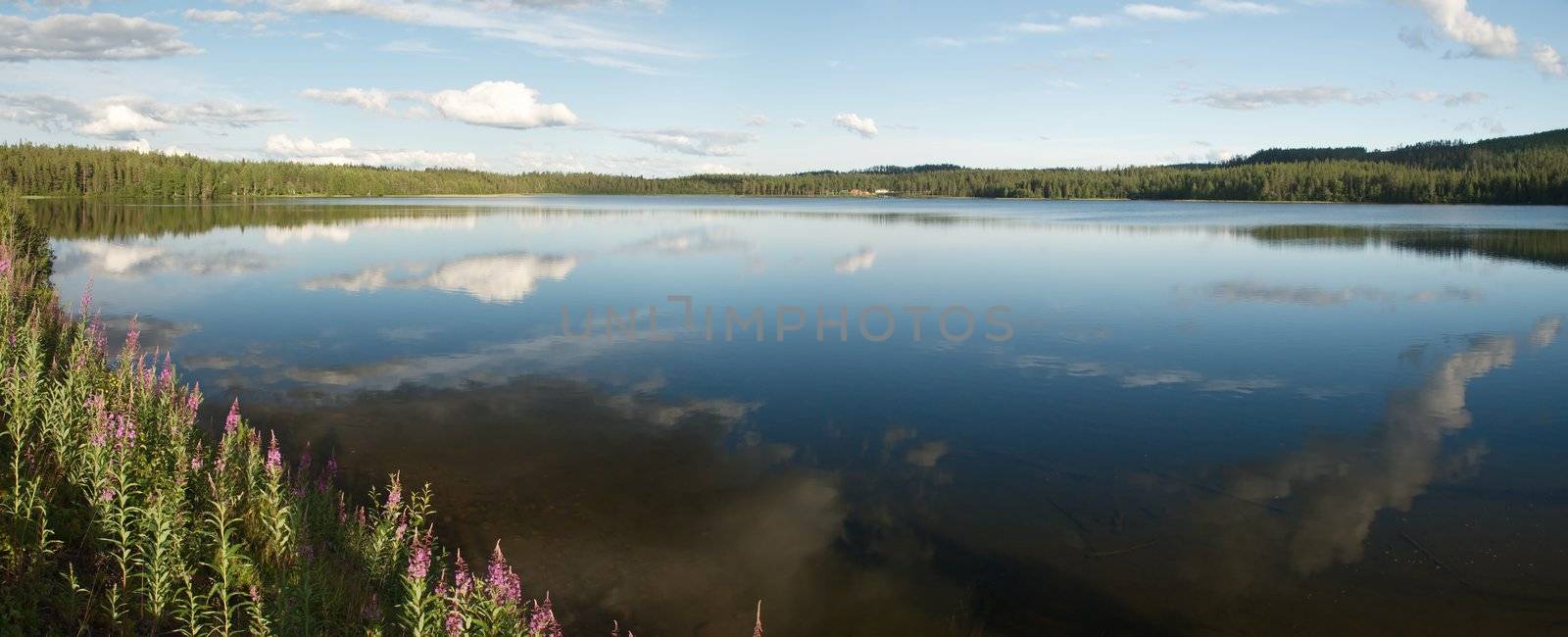 The border of Yli-Kitka lake in summer time is green and with many flowers, the sky and clowds are reflecting in water mirrow th bottom is seen thtough transparante water