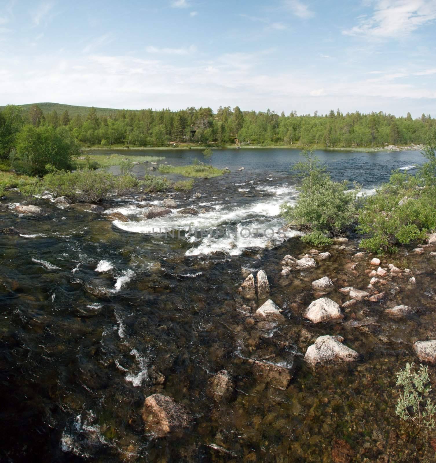 Its a fast stream of a river in finnish Lapland with larger flow surrounded by nordic forest at the background, this bautiful nordic landscape in summer time 
