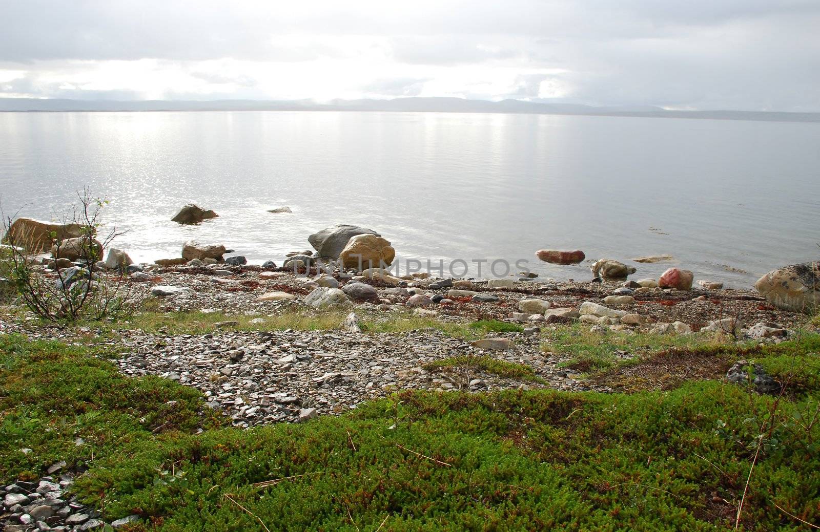 Wild lanscape of Finnmark see cost,Tundra vegetation, stones and transparante water at foreground and sun light crossinf frog and clouds and refrecting in water surfce