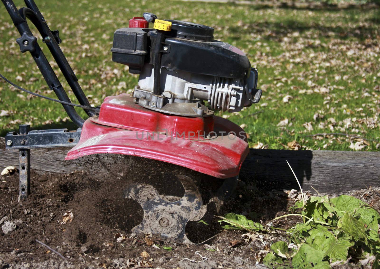 gas powered tiller cultivating a garden