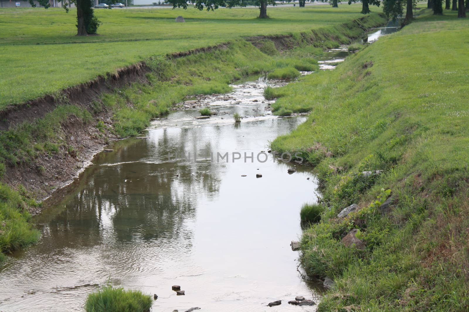 a small creek next to a grassy hill.