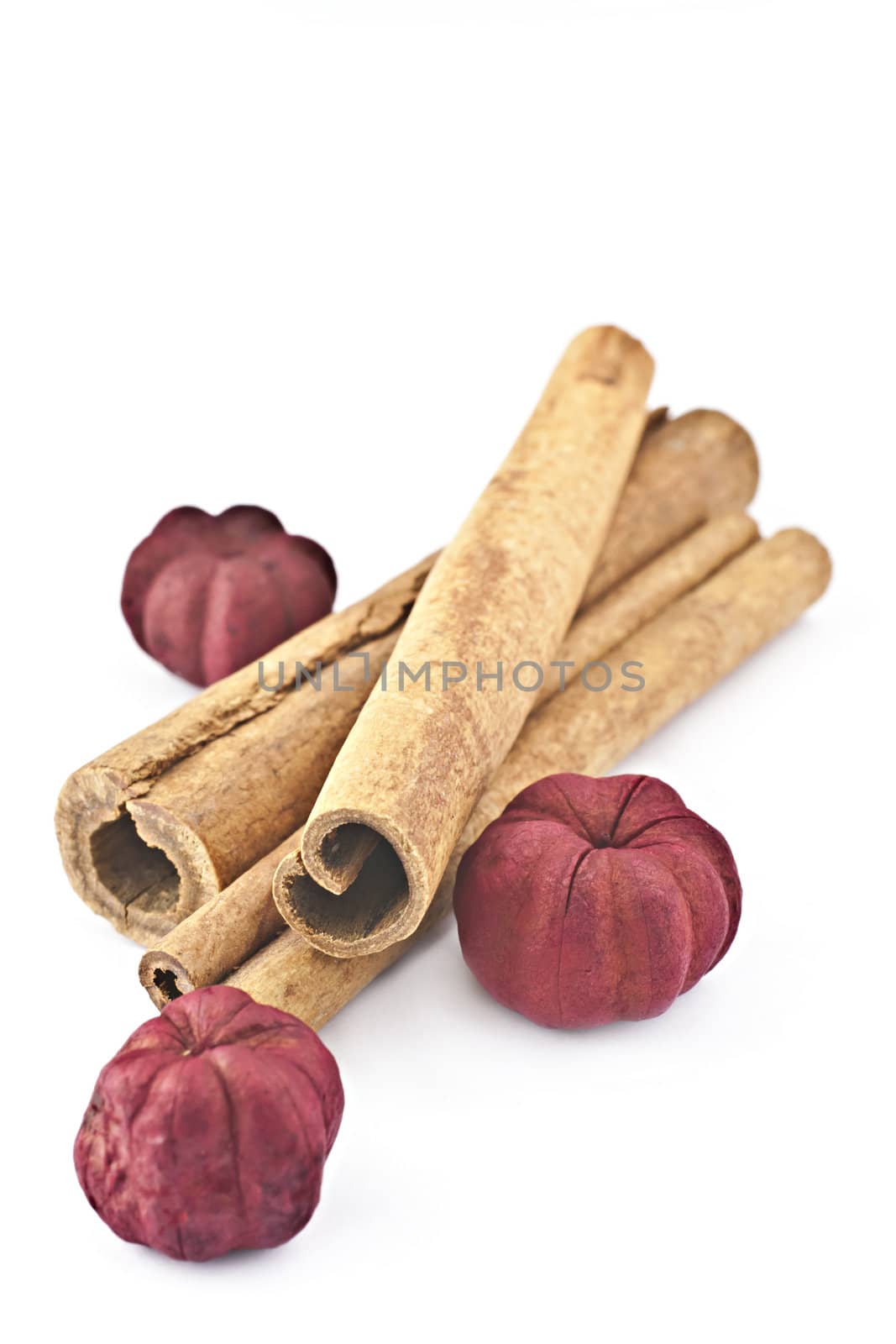 Cinnamon sticks with dried red ziediņiemu on a white background.
