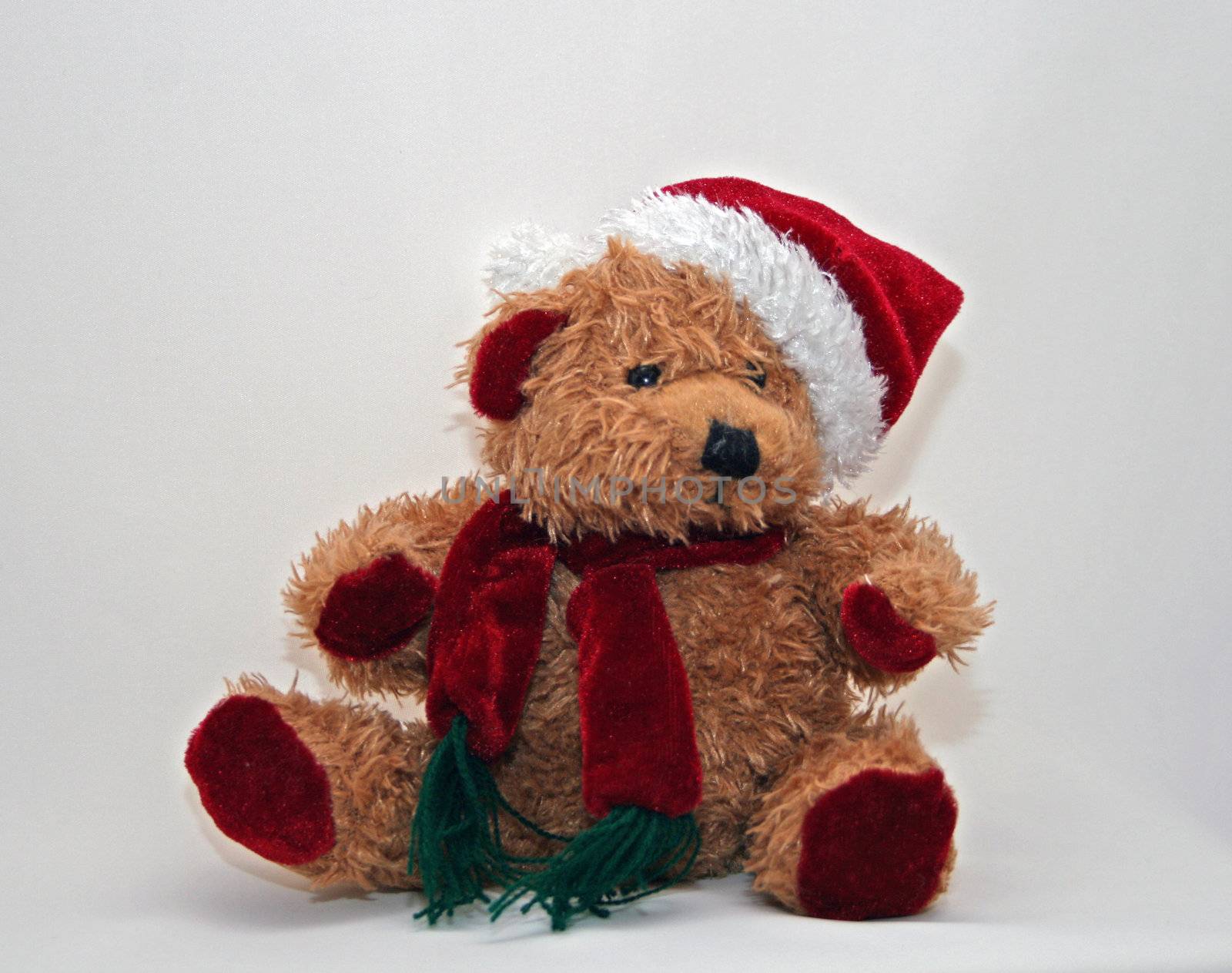 Christmas Teddy by NathalieM