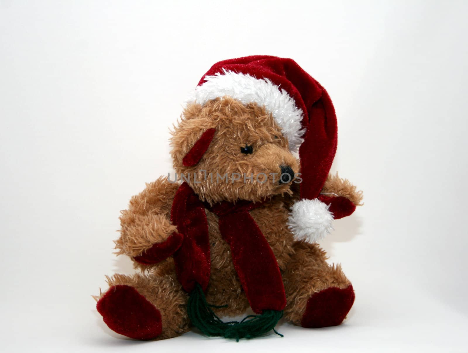 Christmas Teddy