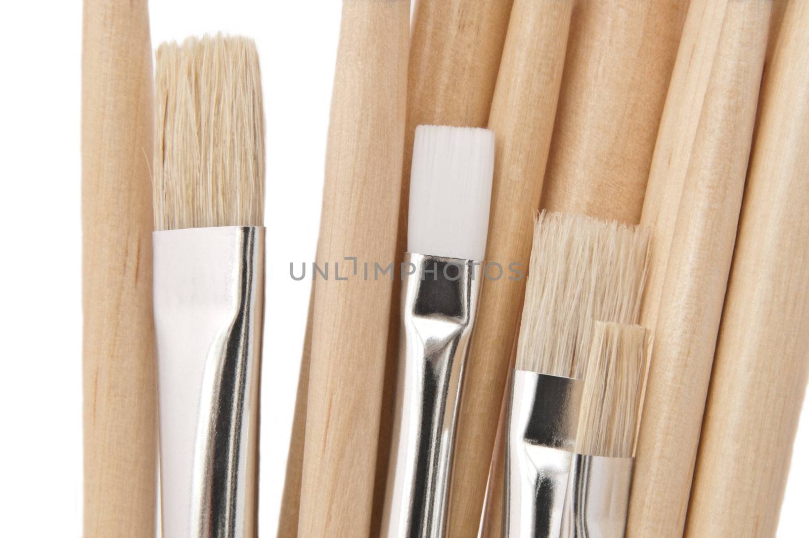 Close up of several artist paint brushes with white background.