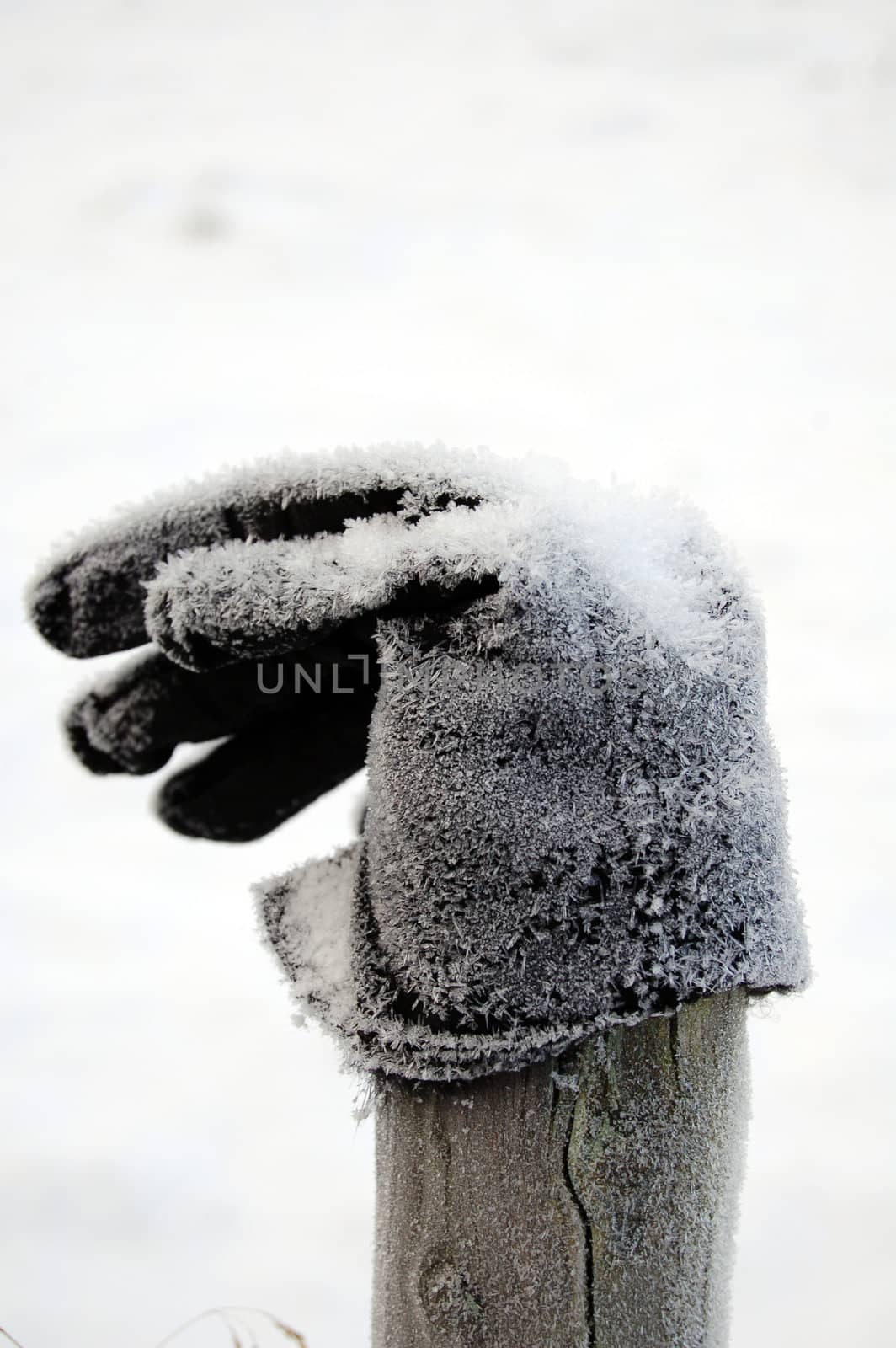frozen glove, on a pole