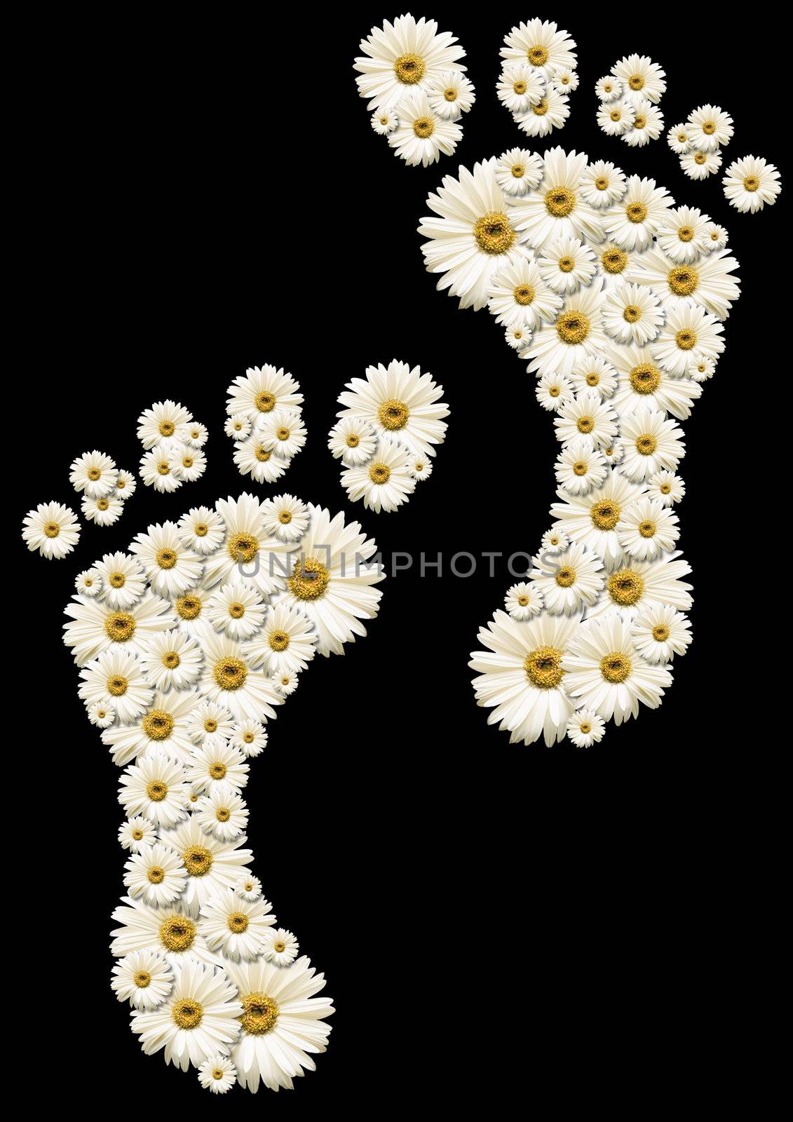 Two human footprints formed by many white daisies