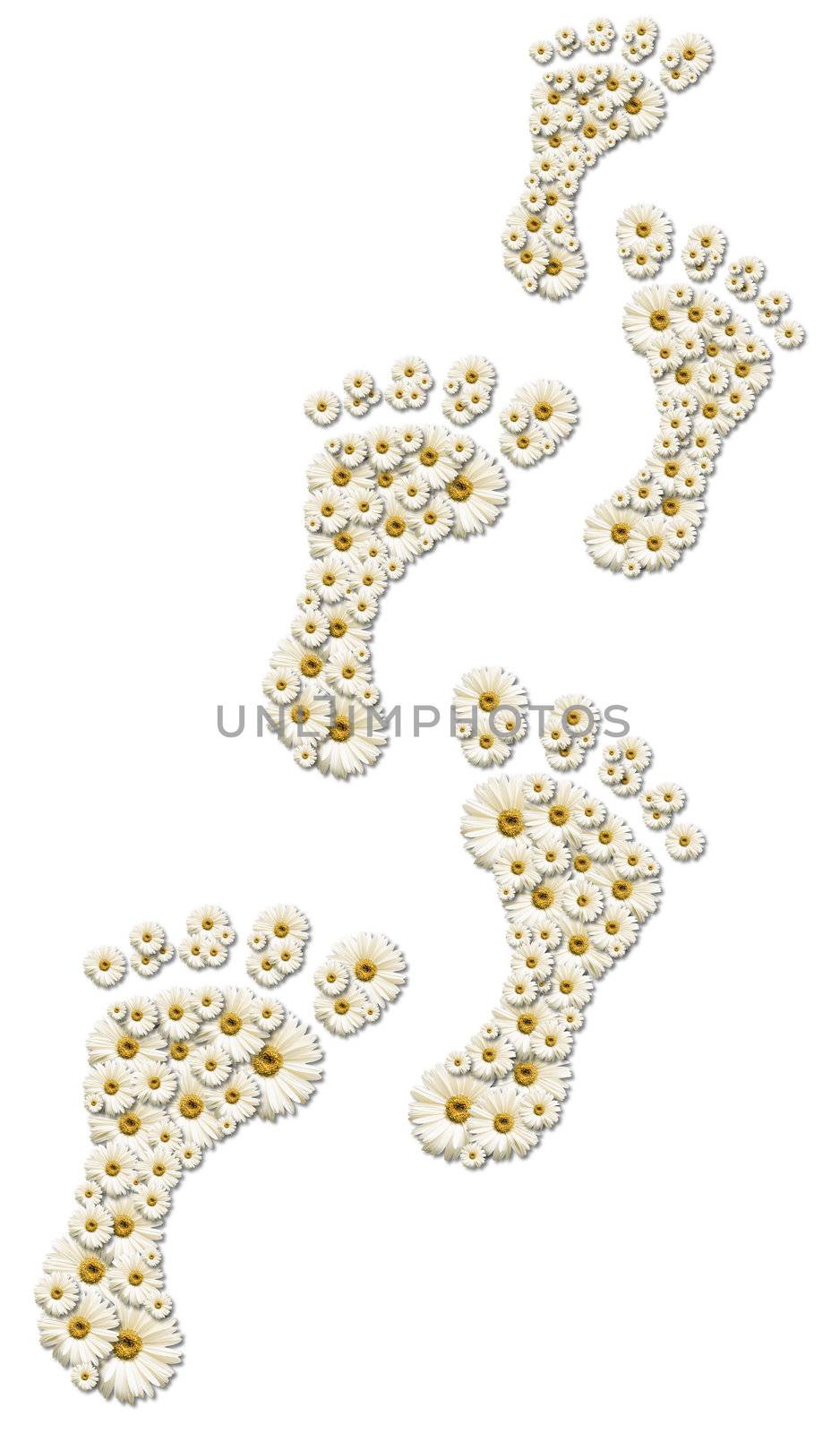 Five human footprints formed by many white daisies on a white background