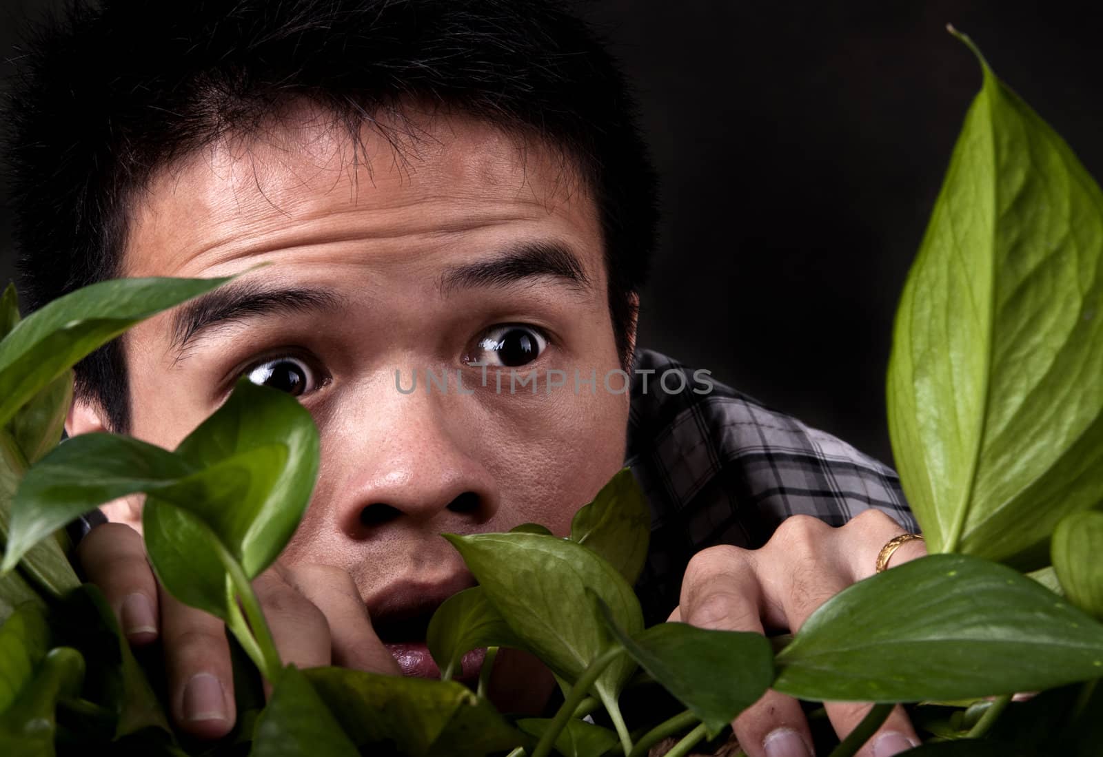 An asian man is suprised and scared  as he looks through a jungle plant