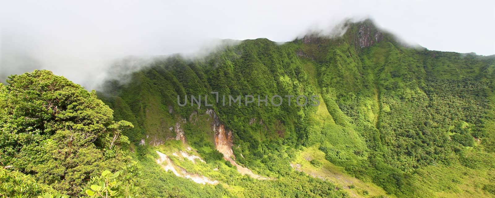 The Crater below cloud covered Mount Liamuiga on Saint Kitts.