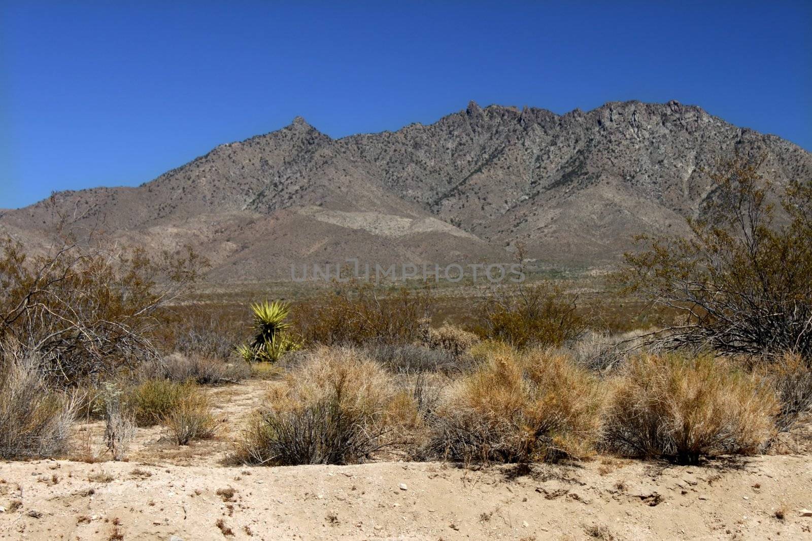 Mojave Desert - southern California by Wirepec
