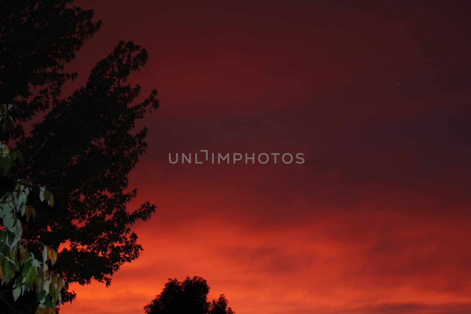 sunset by ediechandler
