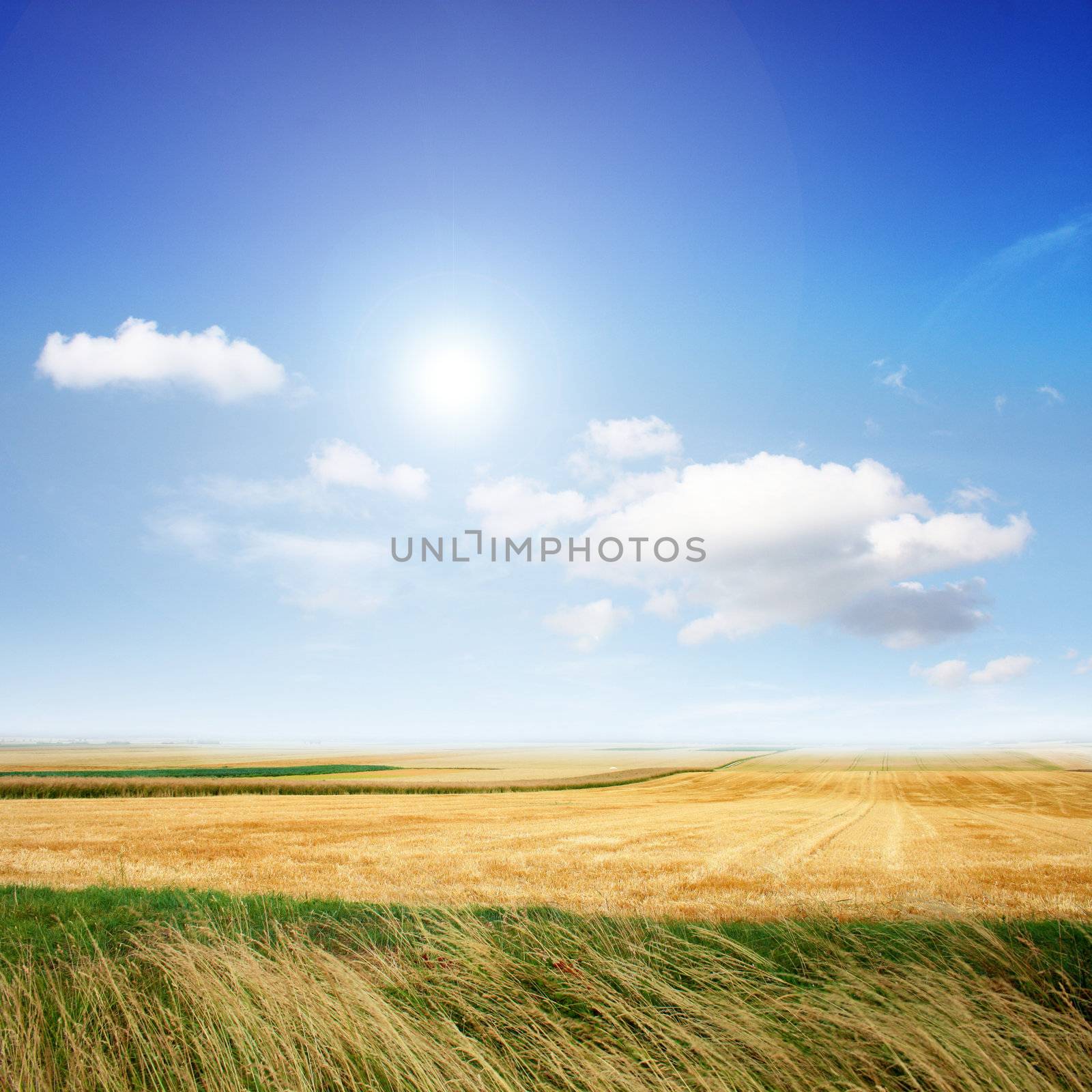 Landscape in the summer by photochecker