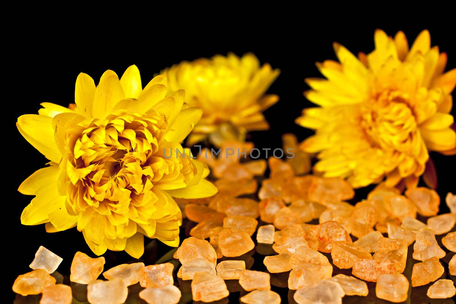 Dry yellow flowers with a bath salt on a black background mirror.
