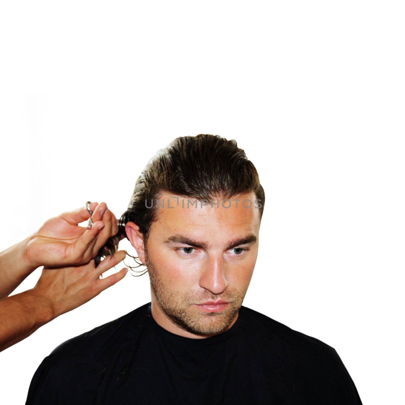 Master hairdresser cuts a customer's hair