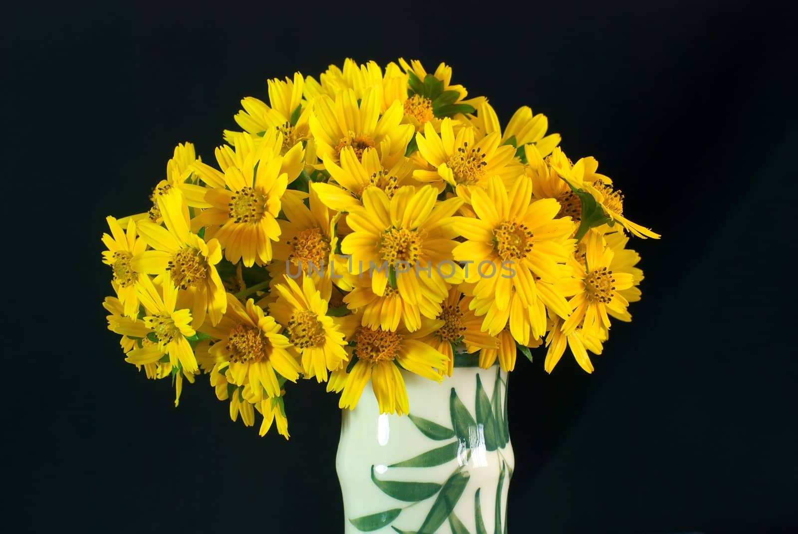 Yellow daisy in a vase