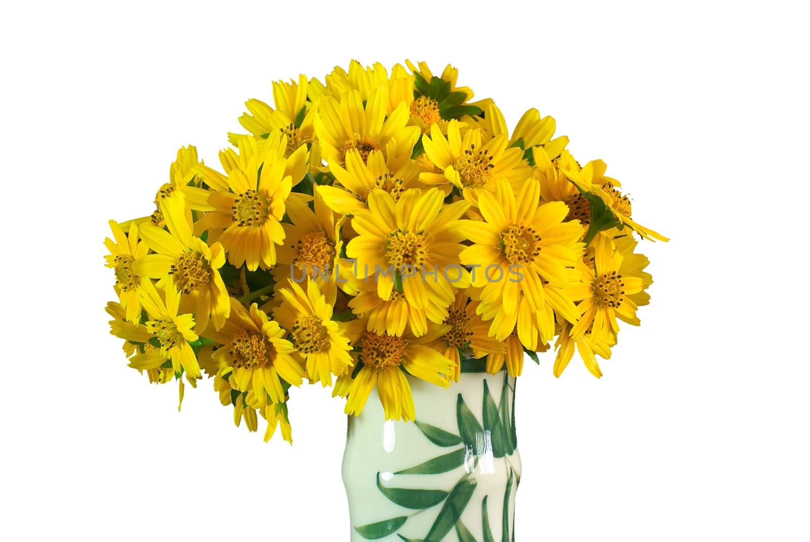 Yellow daisy in a vase
