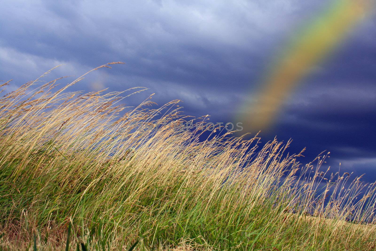 Rainbow  by photochecker