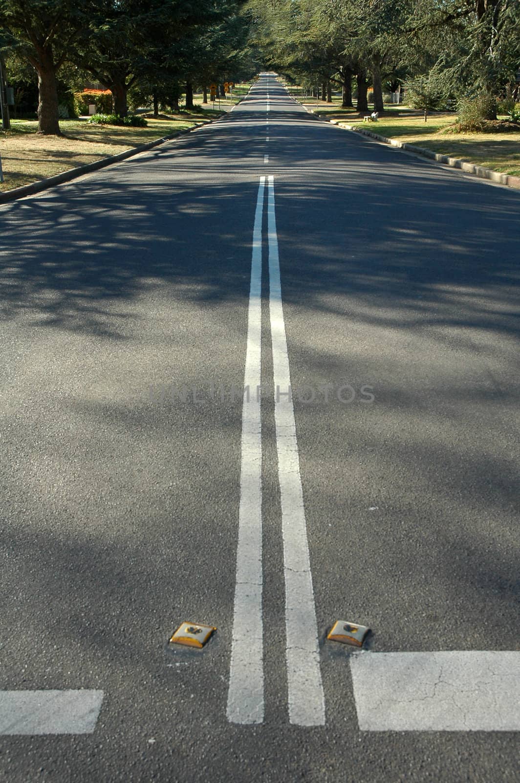 empty road, two white lines in the middle, trees