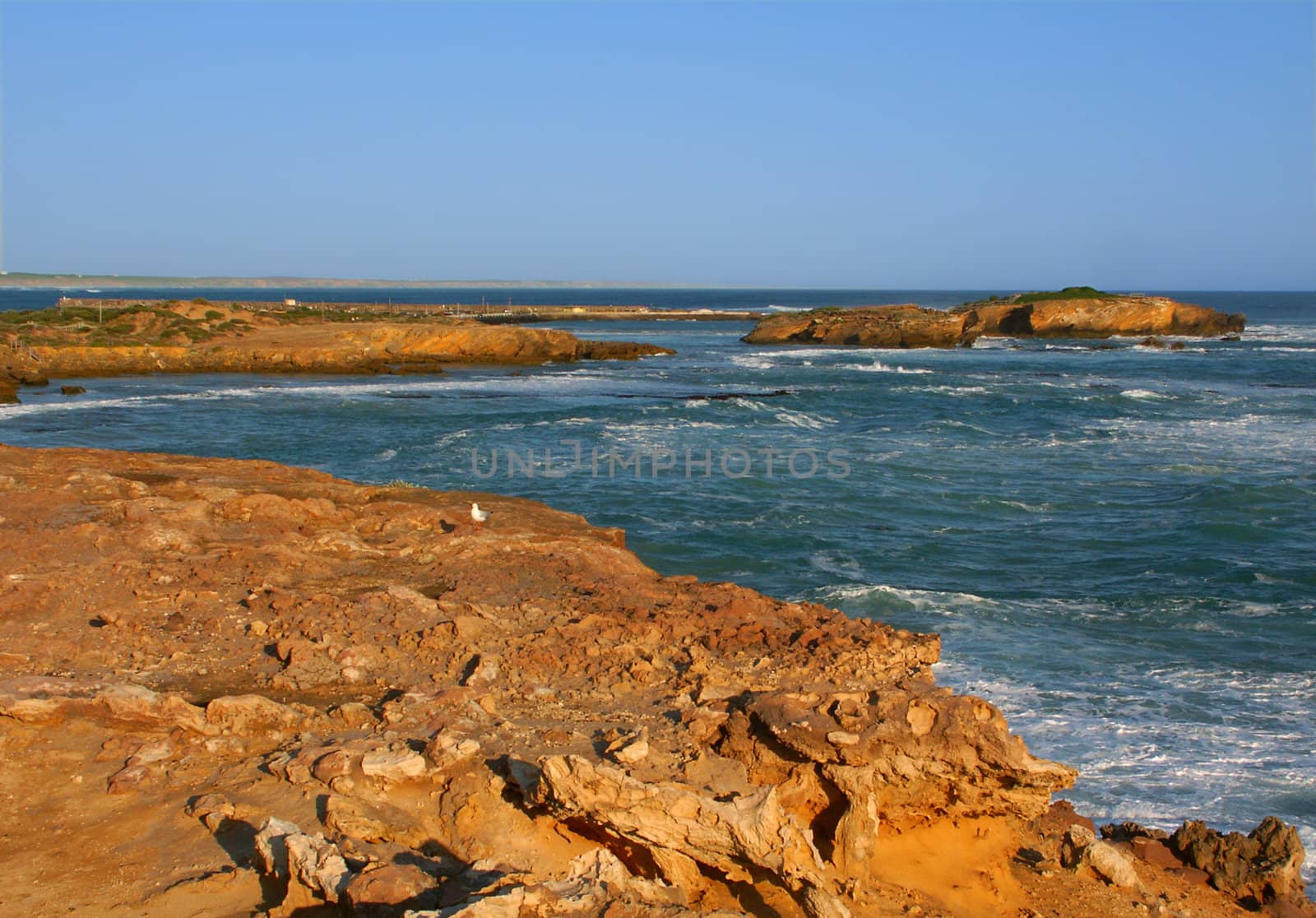The rocky coastline of southern Australia near Warrnambool, Victoria.