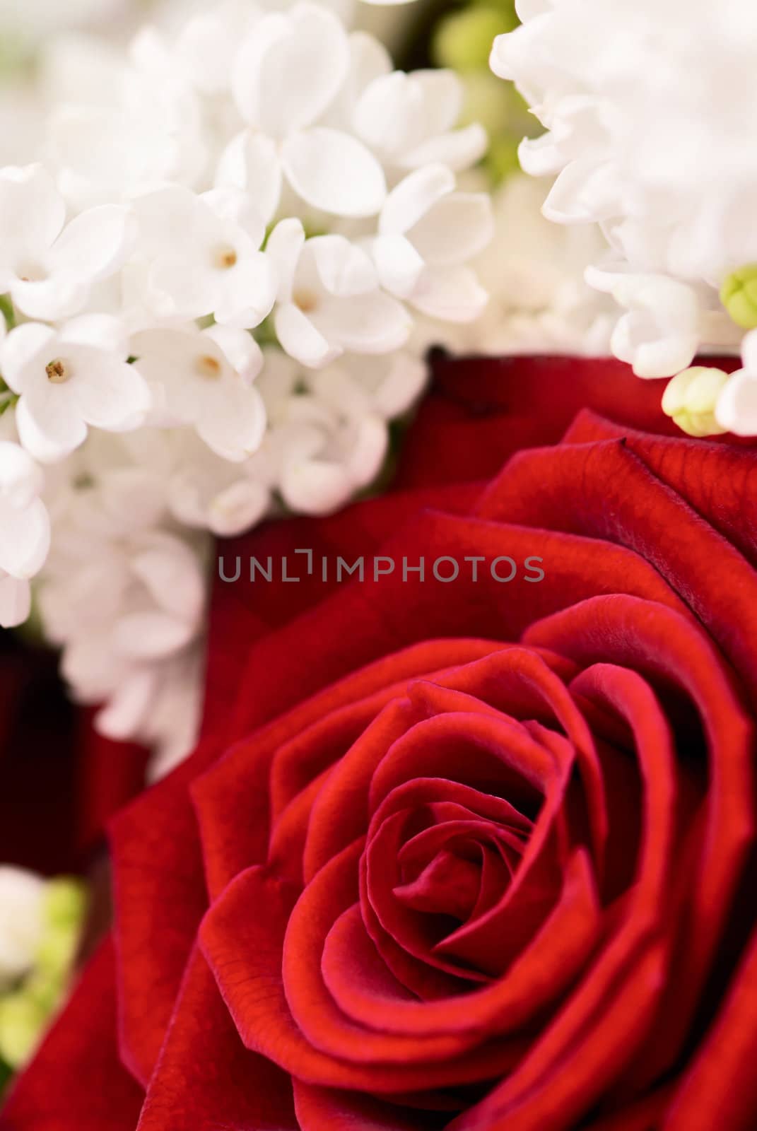 Beautiful bouquet by Olinkau