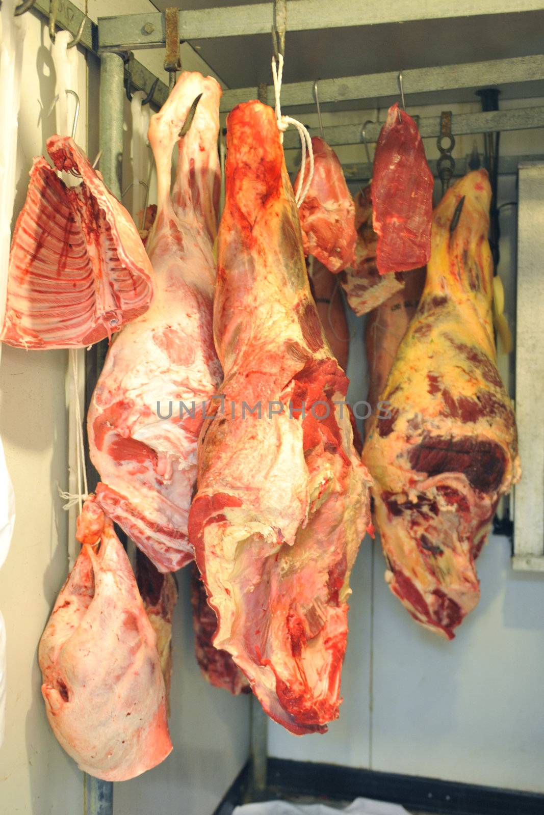 refrigerator with red meat in a butcher shop