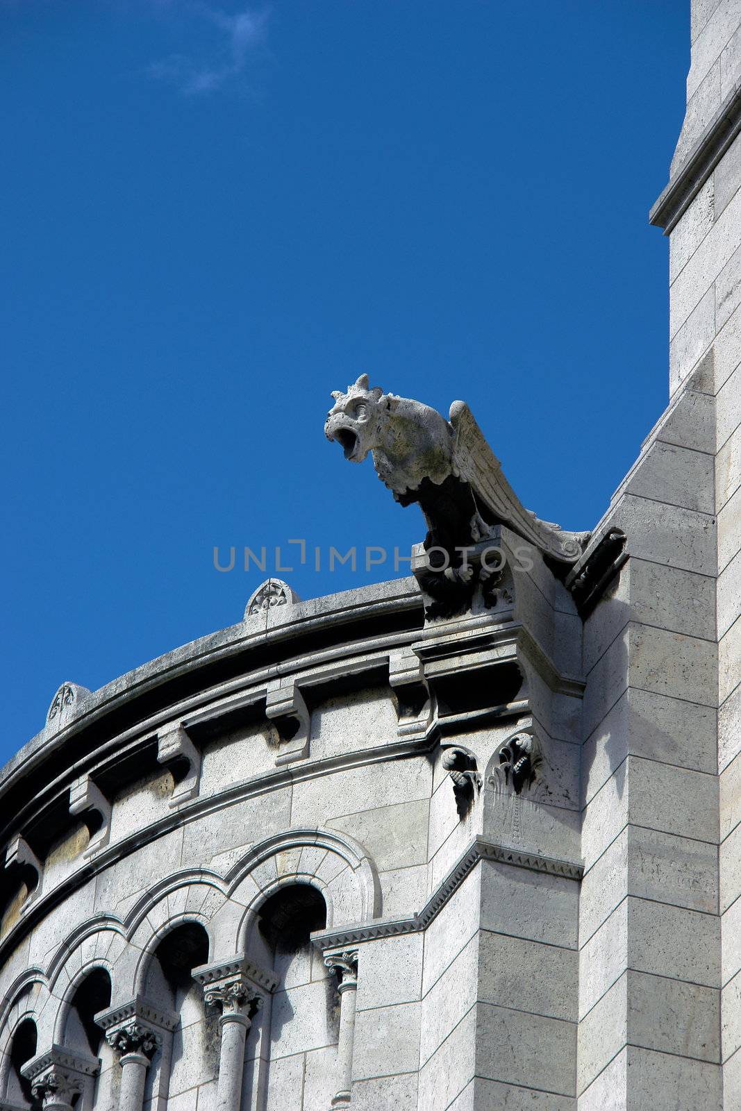 Gargoyles on Basilica of the Sacre Coeur, Paris, France