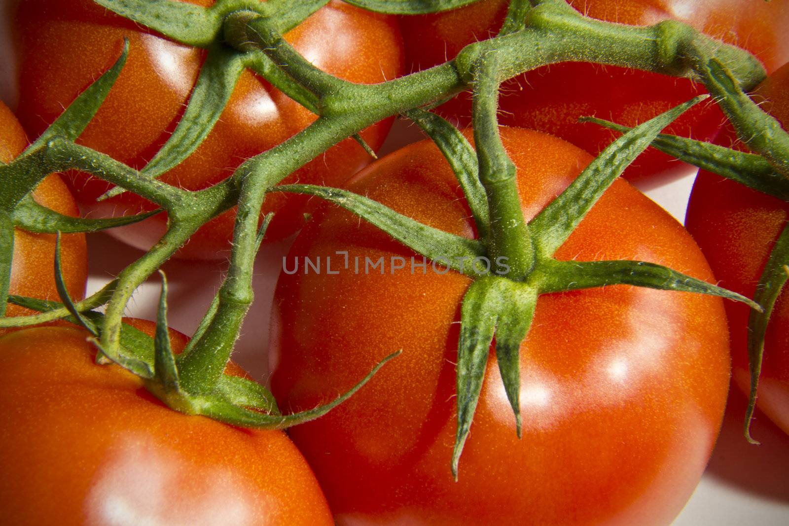 Looking down on some juicy looking vine tomatoes ready to eat