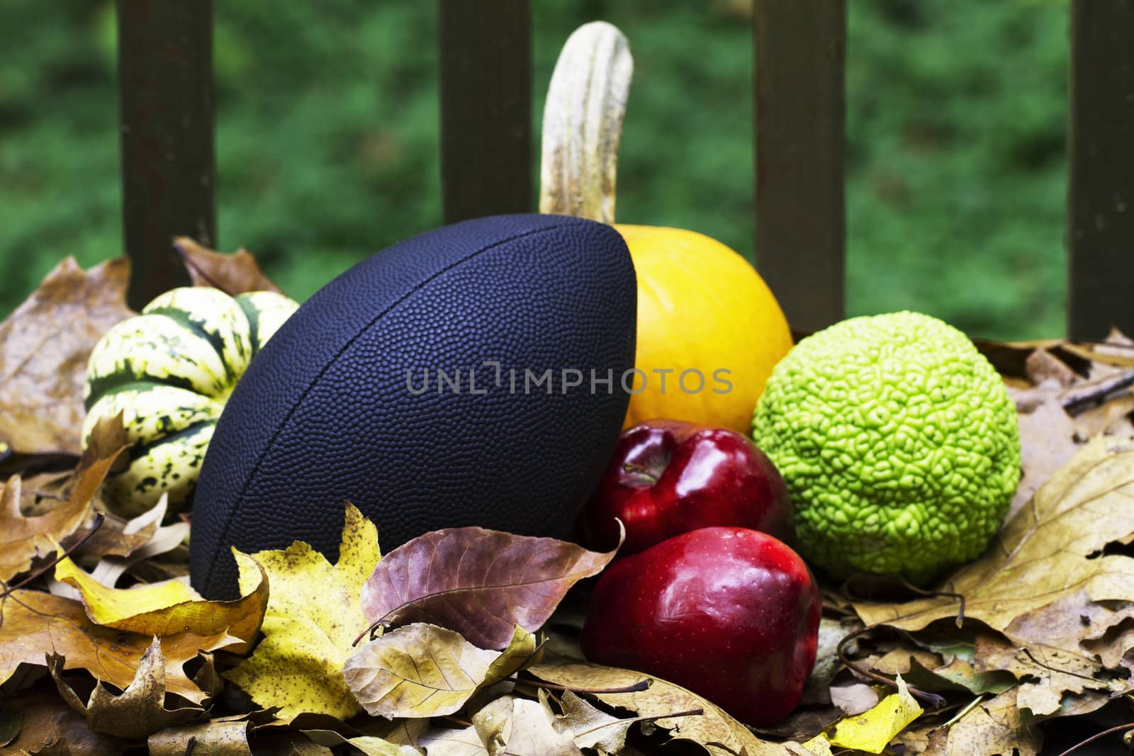 Bold colors of autumn seen in colorful, dried leaves, bright green of Osage Orange, red ripeness of delicious apples, clear orange of a pumpkin, and mottled green of a squash