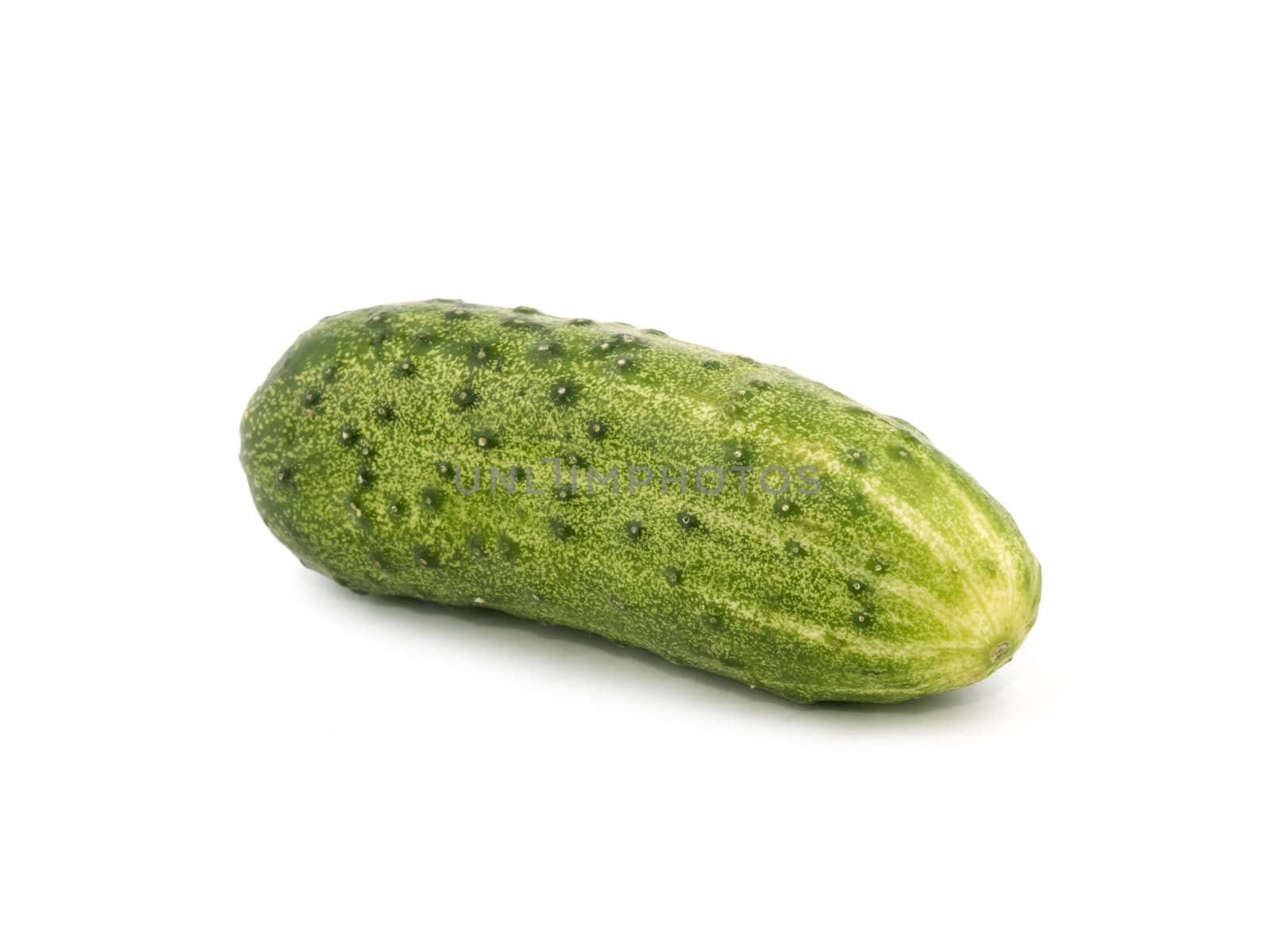 Fresh cucumber on white background