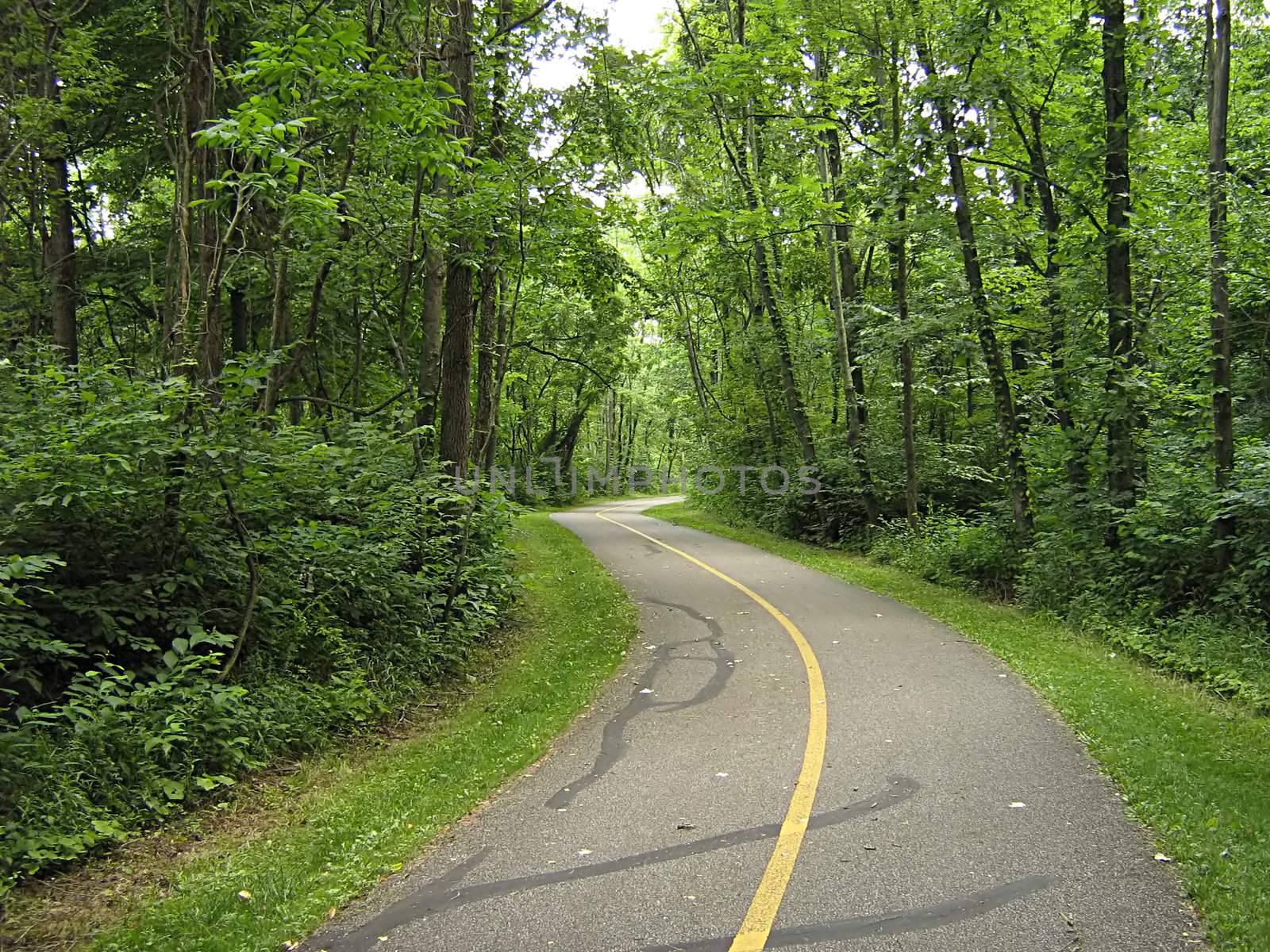 A photograph of a quiet walking trail.