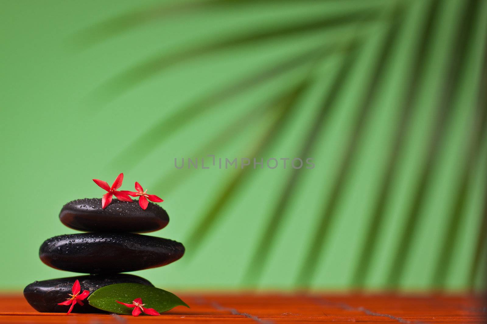 Spa & massage still life : balancing black stones, flowers and leafs