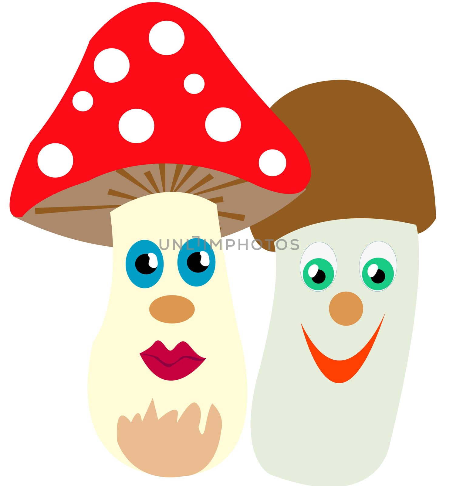 Two mushrooms by cobol1964