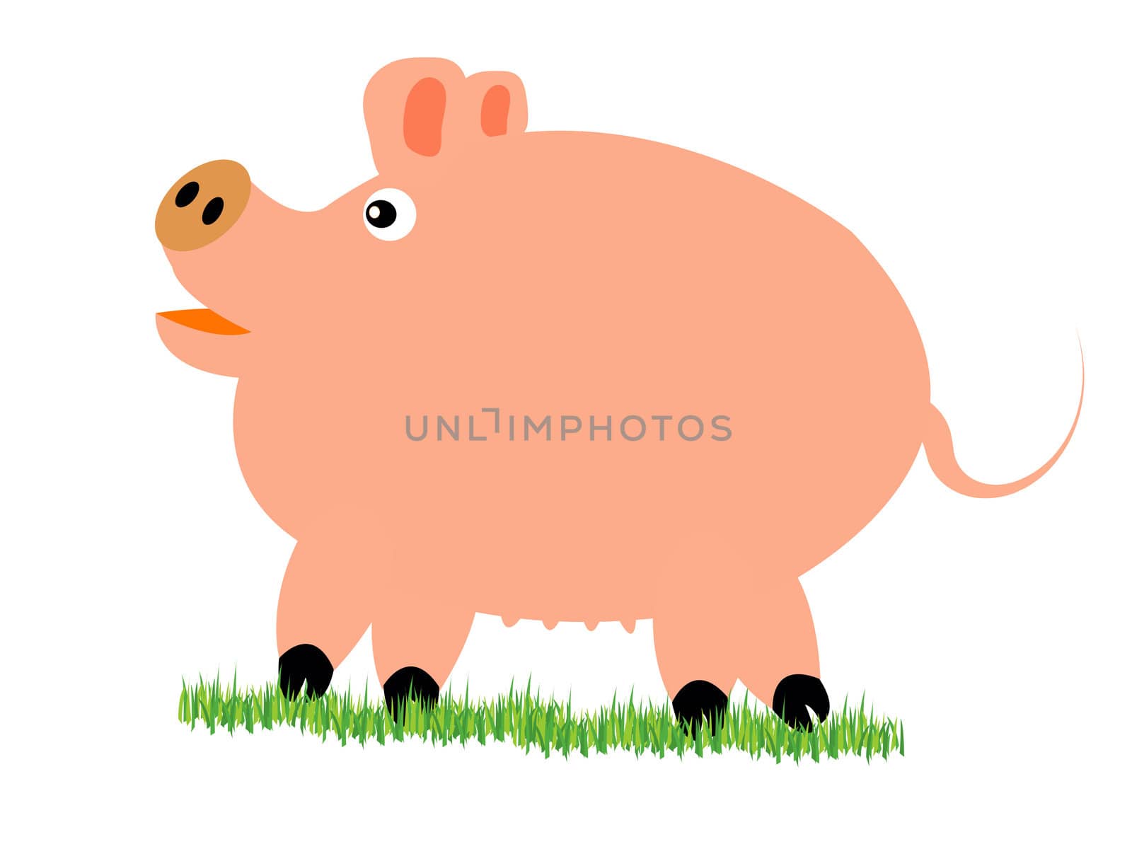 Pig on herb by cobol1964