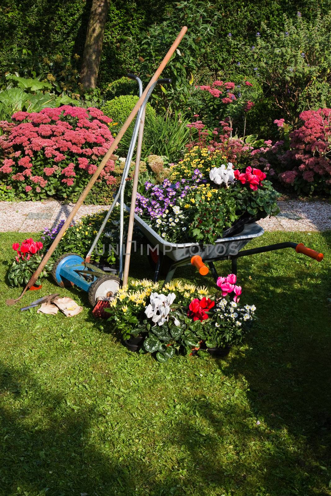 Wheelbarrow, grass mower, garden equipment by Colette