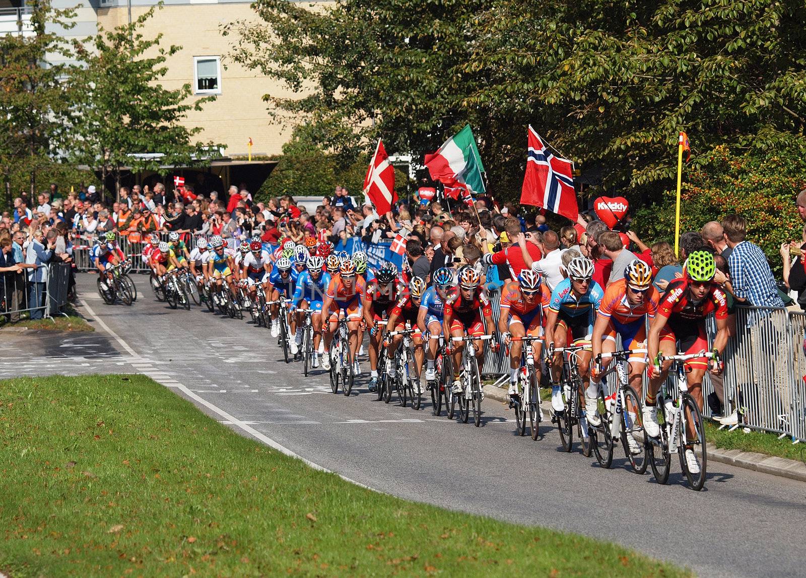 COPENHAGEN - SEPTEMBER 25: Unknown international elite cyclists at 2011 UCI road race championships in Rudersdal. The event starts on September 19 - 25, 2011 in Copenhagen and Rudersdal, Denmark.