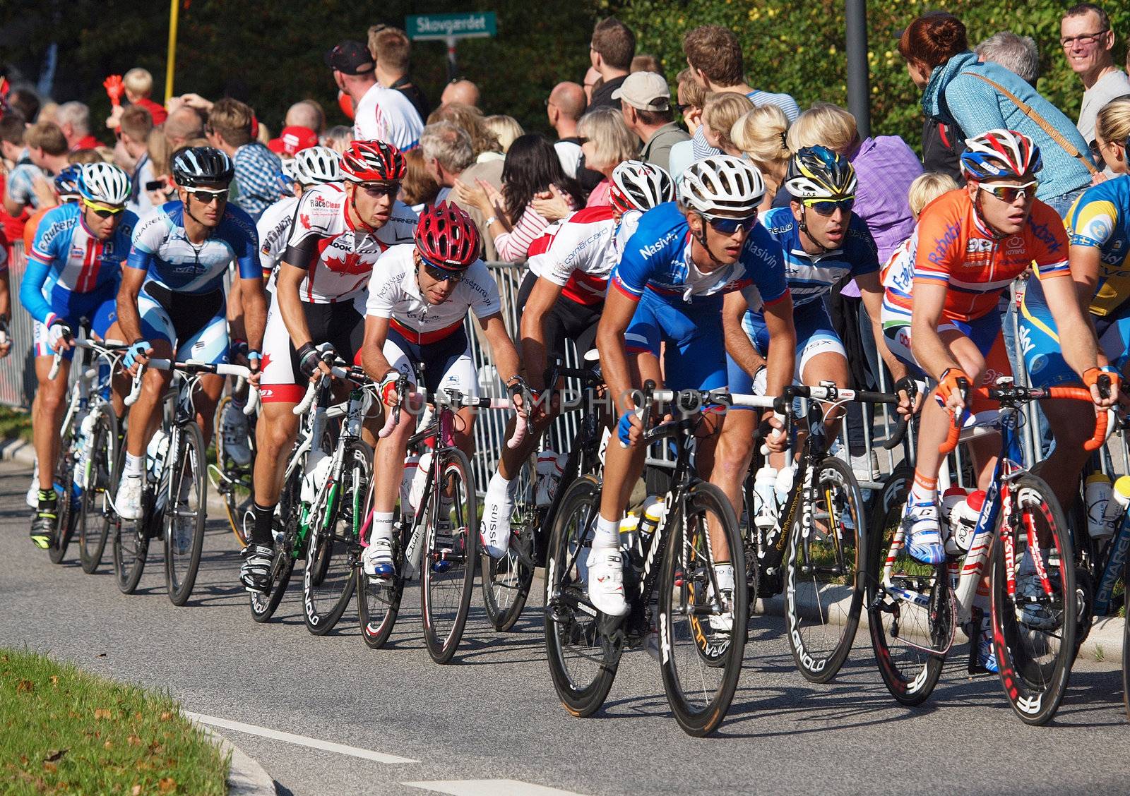 COPENHAGEN - SEPTEMBER 25: Unknown international elite cyclists at 2011 UCI road race championships in Rudersdal. The event starts on September 19 - 25, 2011 in Copenhagen and Rudersdal, Denmark.
