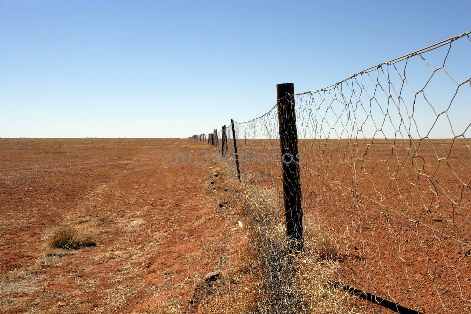 The Dingo fence in the Australian Outback.  Fence is 9600 km long and spans the entire country, keeping the dingoes out of the south where sheep graze.
