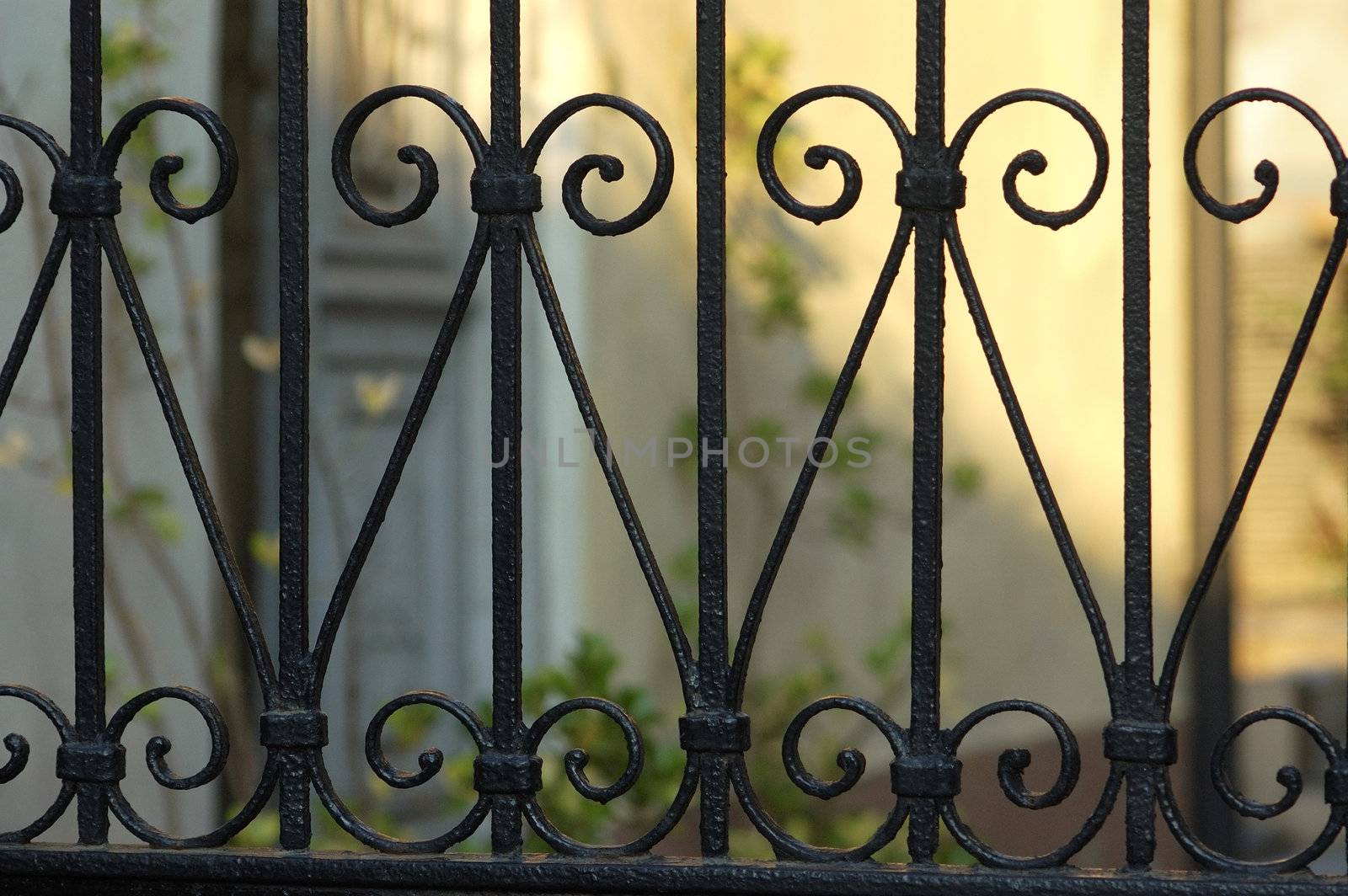 decorative -iron fence