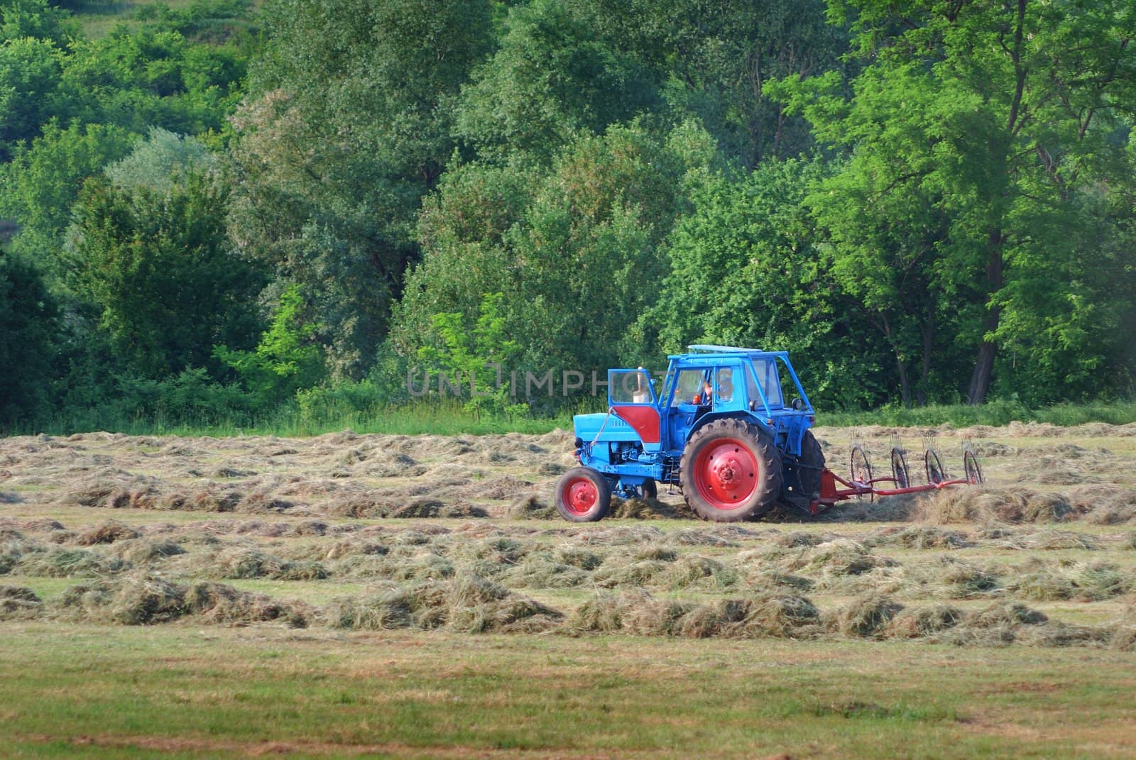 tractor by casaalmare