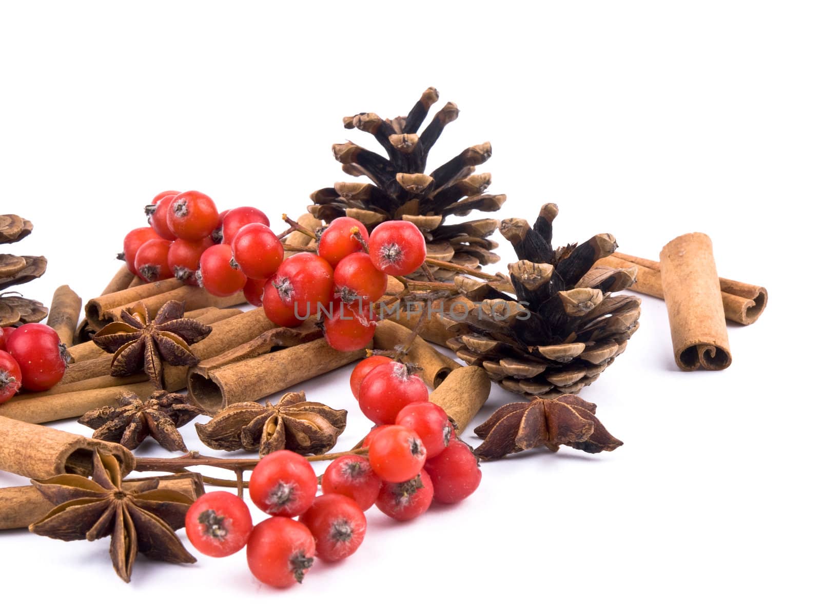 Aromatic cinnamon, rowan, anise and cones on white background