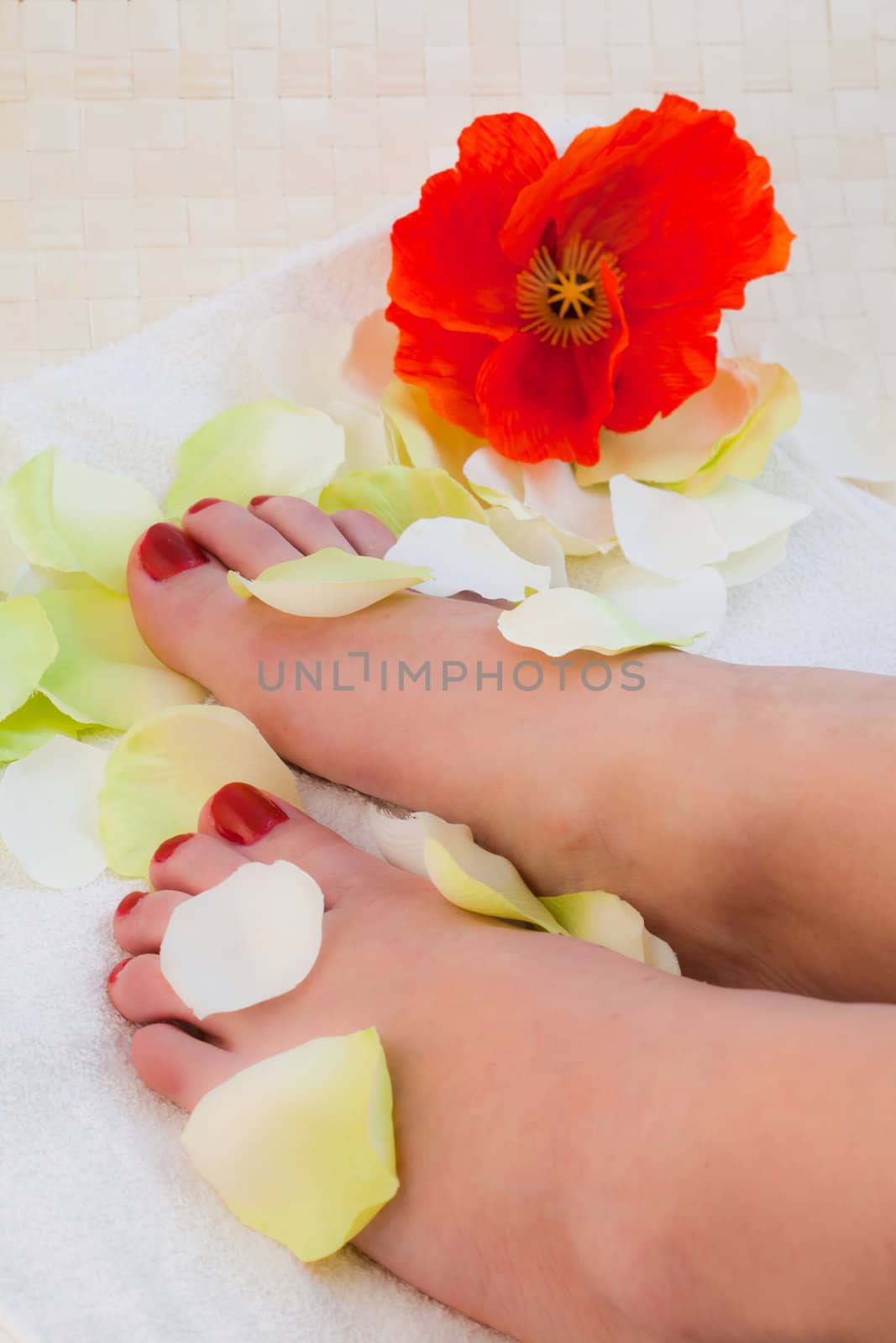 Woman taking care of her feet
