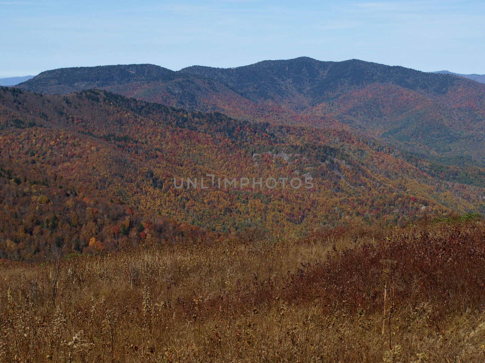 Along the trail in North Carolina. Views along the Art Loeb Trail.