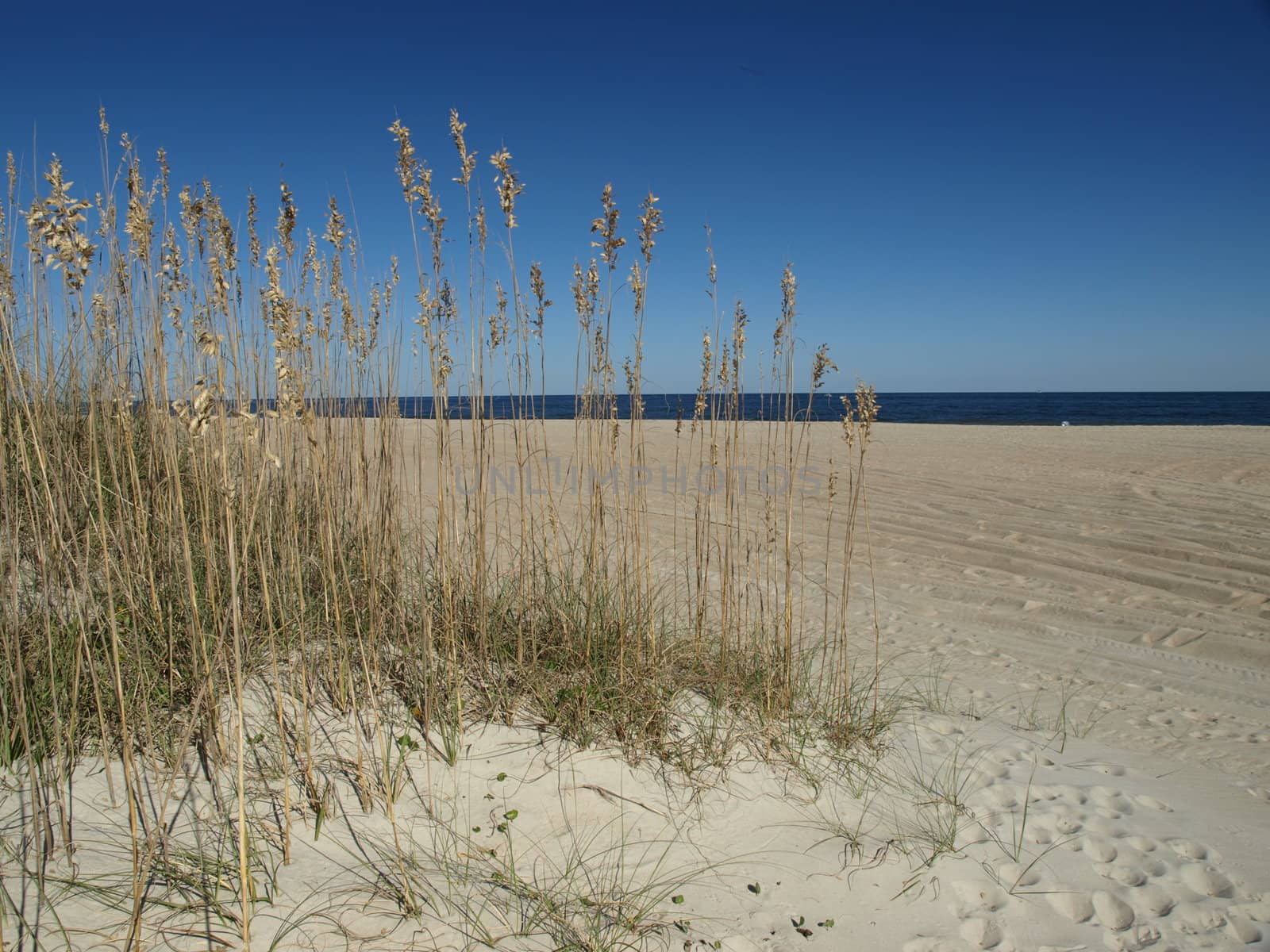 Beaches by northwoodsphoto