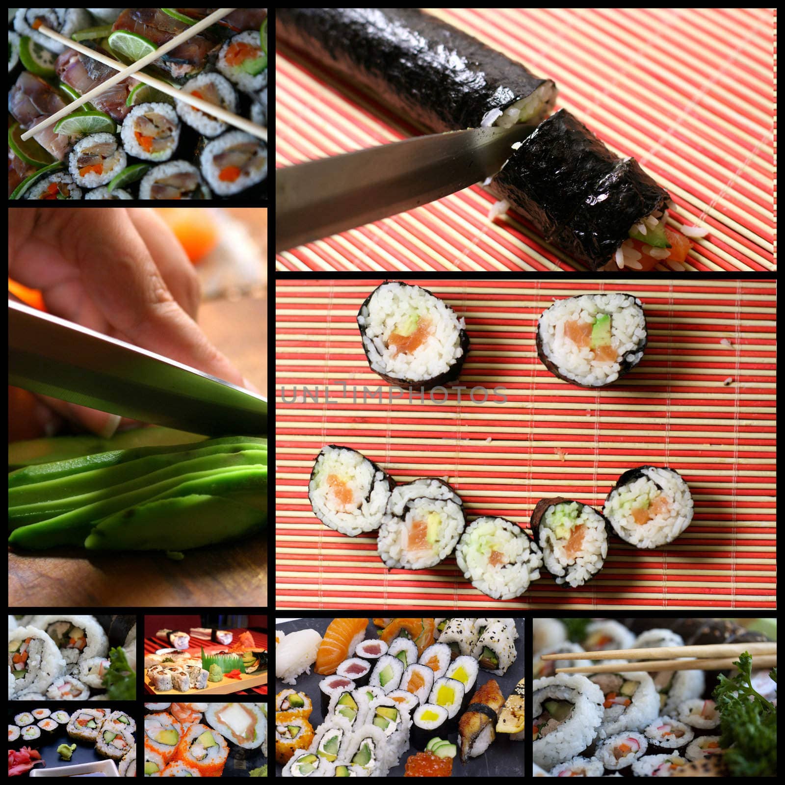 collage various types of japanese sushi and sashimi