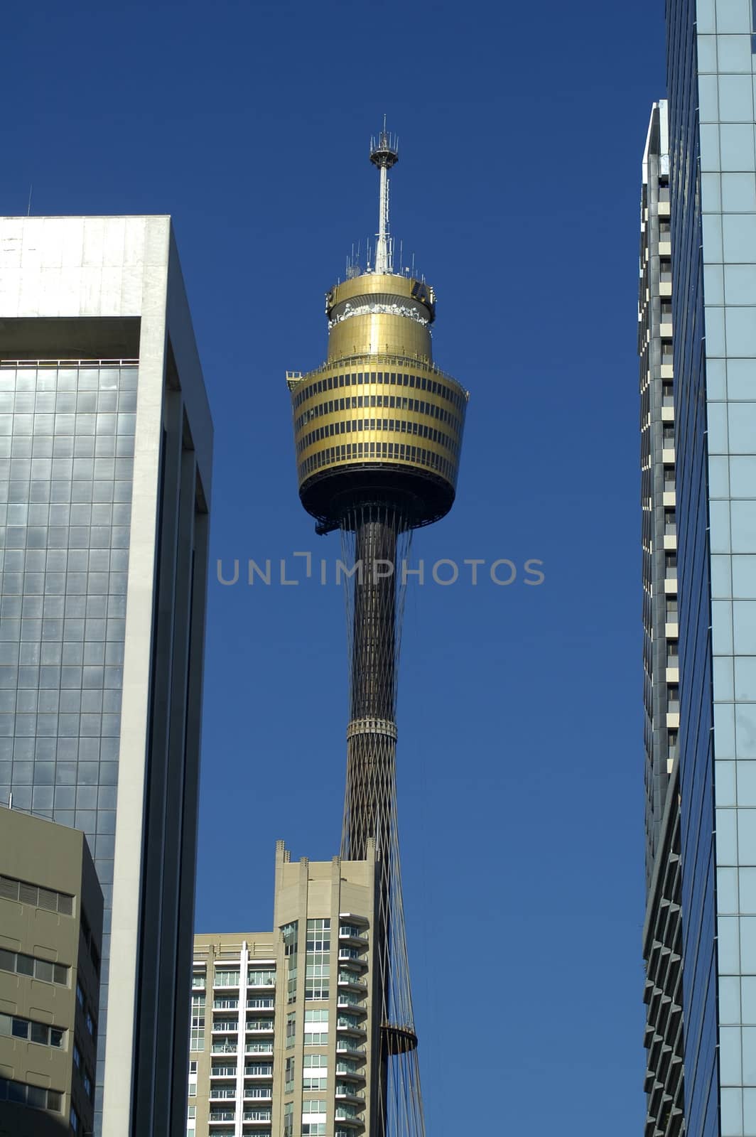 tall skyscrapers and sydney tower, blue sky,