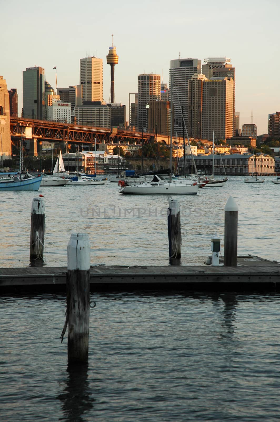 sydney harbour scenery, water, wooden pylons and ships in front, buildings (including sydney tower) in background